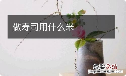 做寿司用什么米