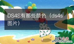 ds4s图片 DS4S有那些颜色