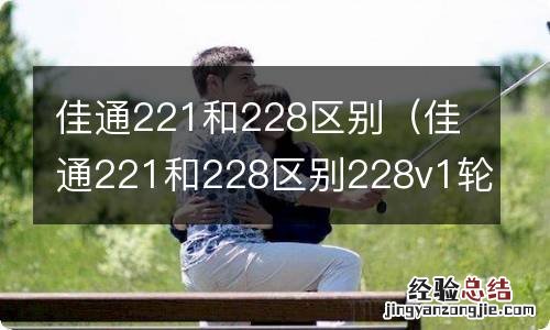 佳通221和228区别228v1轮胎优缺点 佳通221和228区别