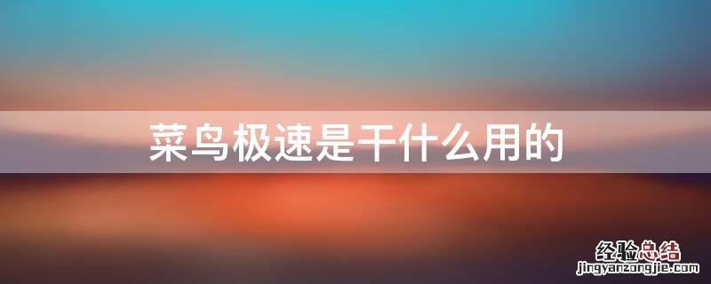 菜鸟极速是干什么用的