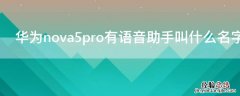 华为nova5pro有语音助手叫什么名字 nova5pro的语音助手叫什么