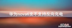 华为nova6能不能反向充电 华为nova6支不支持反向充电