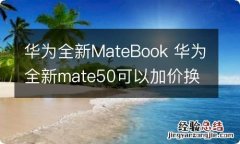 华为全新MateBook 华为全新mate50可以加价换pro吗