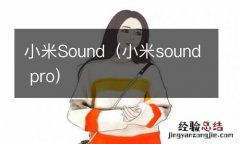 小米sound pro 小米Sound