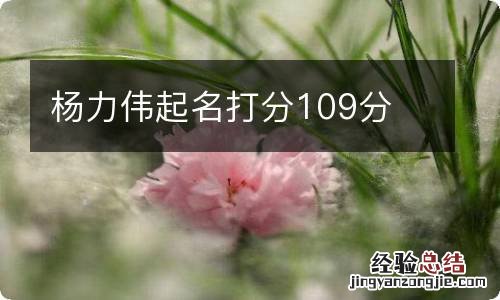 杨力伟起名打分109分