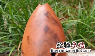 陶埙有味道怎么处理 陶埙有味道处理方法