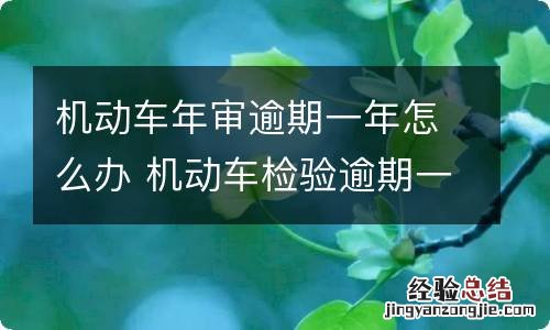 机动车年审逾期一年怎么办 机动车检验逾期一年怎么办