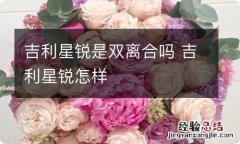 吉利星锐是双离合吗 吉利星锐怎样