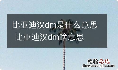 比亚迪汉dm是什么意思 比亚迪汉dm啥意思