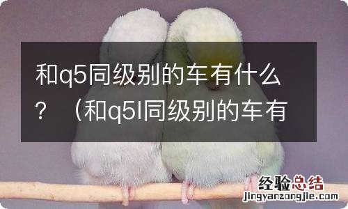 和q5l同级别的车有啥 和q5同级别的车有什么？