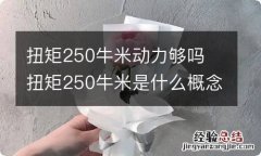 扭矩250牛米动力够吗 扭矩250牛米是什么概念