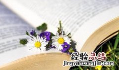 优雅又励志微信名字 励志高雅的微信名