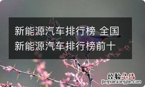 新能源汽车排行榜 全国新能源汽车排行榜前十名