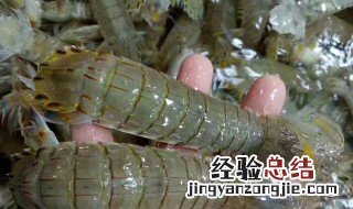 爬虾怎样储存 爬虾储存方法