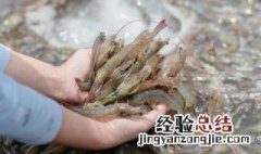 剥活虾壳最简单的方法图片 剥活虾壳最简单的方法