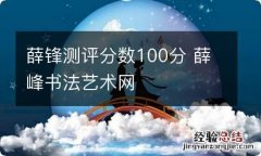 薛锋测评分数100分 薛峰书法艺术网