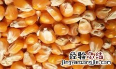 储存干玉米怎样防虫 储存干玉米防虫方法