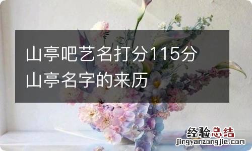 山亭吧艺名打分115分 山亭名字的来历