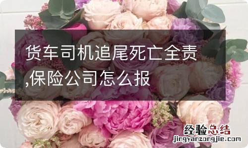 货车司机追尾死亡全责,保险公司怎么报