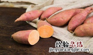 怎样大量储存红薯 储存红薯时容易发生哪些问题