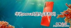 nova5是5g手机吗