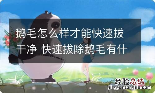 鹅毛怎么样才能快速拔干净 快速拔除鹅毛有什么方法