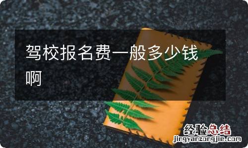 驾校报名费一般多少钱啊