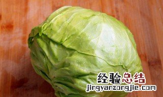 包菜怎么保存两个月 菜包可以保存多久