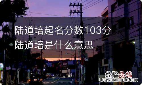 陆道培起名分数103分 陆道培是什么意思