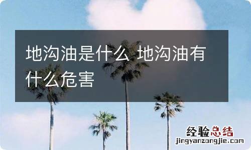 地沟油是什么 地沟油有什么危害