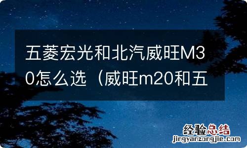 威旺m20和五菱宏光哪个好 五菱宏光和北汽威旺M30怎么选