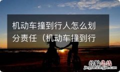 机动车撞到行人承担责任 机动车撞到行人怎么划分责任