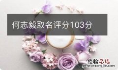 何志毅取名评分103分