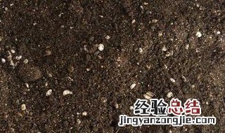 花土呈碱性怎么处理 需要用到什么材料呢