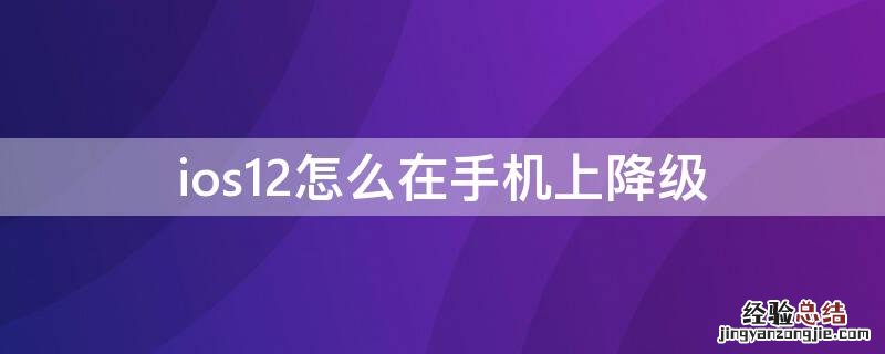 ios12怎么在手机上降级