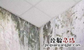 墙面发黑长霉如何办 墙面发黑长霉怎么办