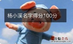 杨小溪名字得分100分