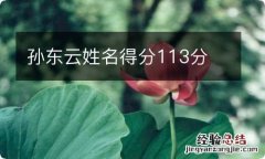 孙东云姓名得分113分