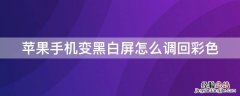 手机屏黑白了怎么调回彩色屏苹果 iPhone手机变黑白屏怎么调回彩色