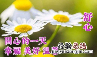 每日温馨问候短信 具体有哪些短信