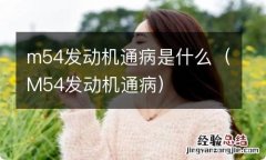 M54发动机通病 m54发动机通病是什么