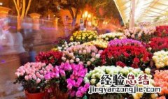 逛花市的起源为什么要逛花市 逛花市由来