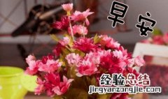 情人早安甜蜜问候 恋人早安甜蜜问候语