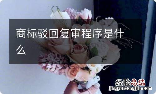 商标驳回复审程序是什么