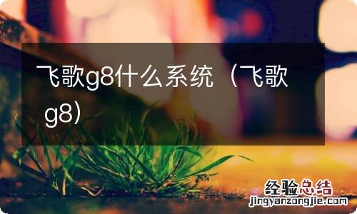 飞歌 g8 飞歌g8什么系统