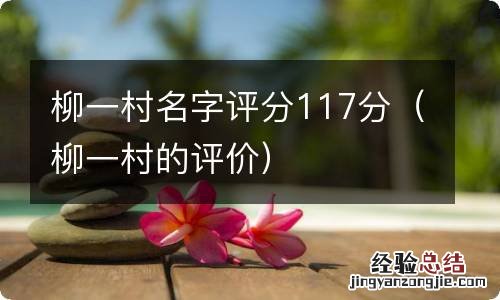 柳一村的评价 柳一村名字评分117分