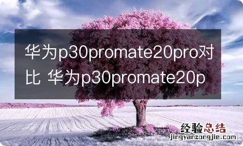 华为p30promate20pro对比 华为p30promate20pro有什么区别