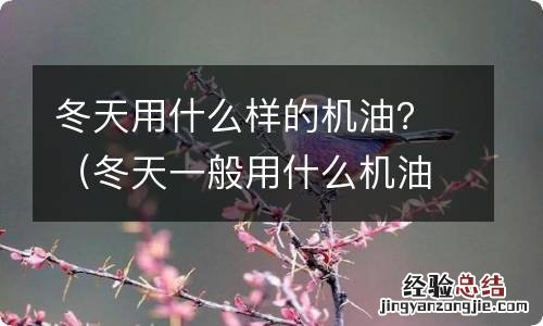 冬天一般用什么机油 冬天用什么样的机油？