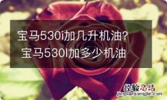 宝马530i加几升机油？ 宝马530l加多少机油