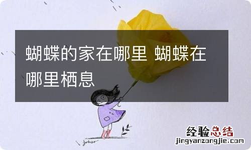 蝴蝶的家在哪里 蝴蝶在哪里栖息